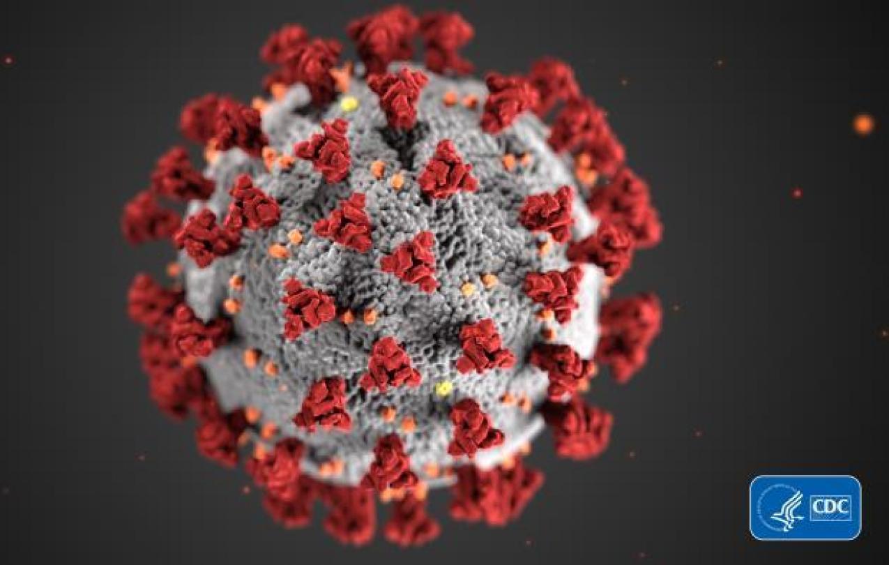 A molecular-level look at the coronavirus, COVID-19